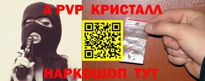 крисы Гагарин