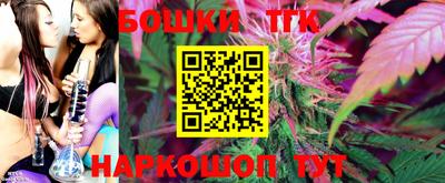 крисы Гагарин
