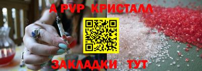крисы Гагарин