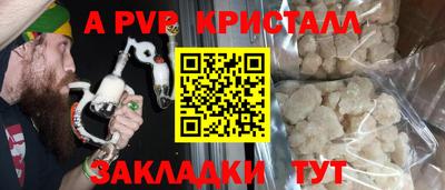 крисы Гагарин