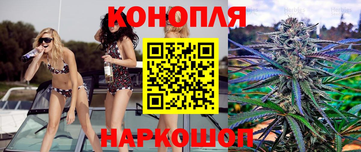 Марихуана план  Вход с VPN  МАРИХУАНА Bruce Banner  Канабис Bruce Banner  Конопля VHQ  Грозный 